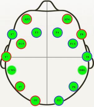 Dataset Image